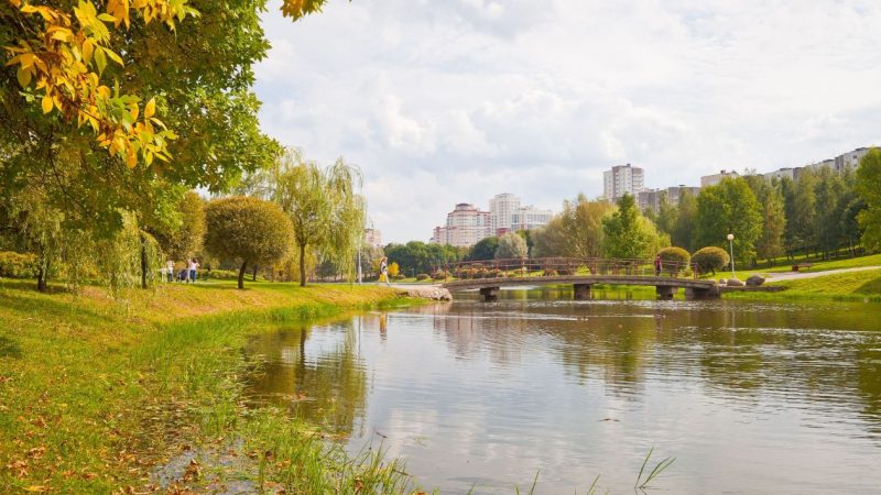 Реконструкция парка Павлова: беговая тропа, велодорожка и площадка для шахмат